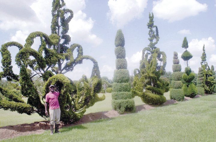 pearl fryar with topiaries