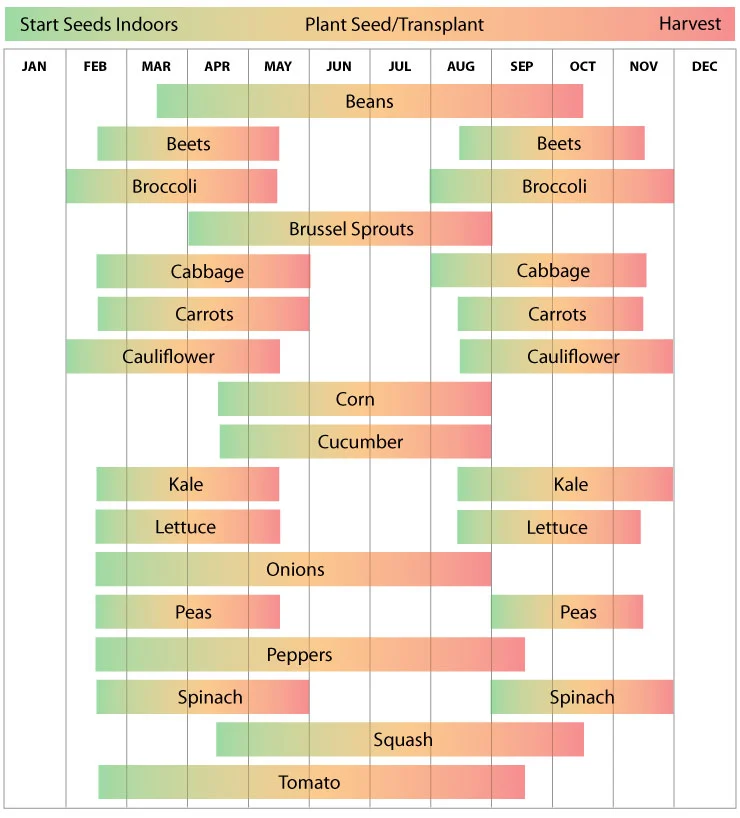 Zone 8 planting calendar